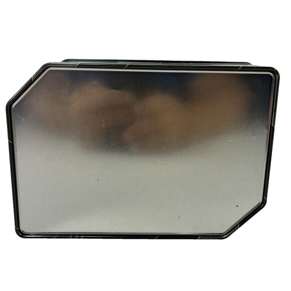 Pokémon TCG Trading Card Mixed Lot of 725 Modern Cards in Collectible Tin - Picture 12 of 16